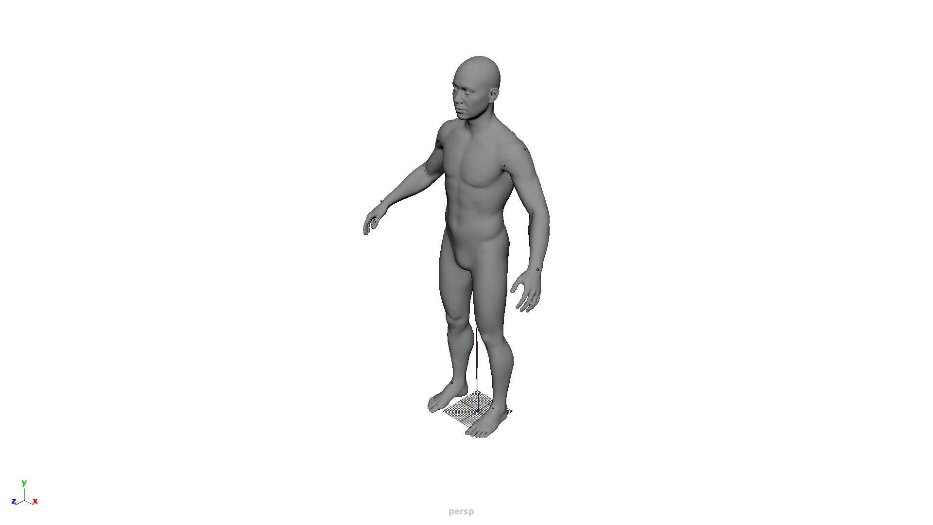 Human mesh in Maya viewport