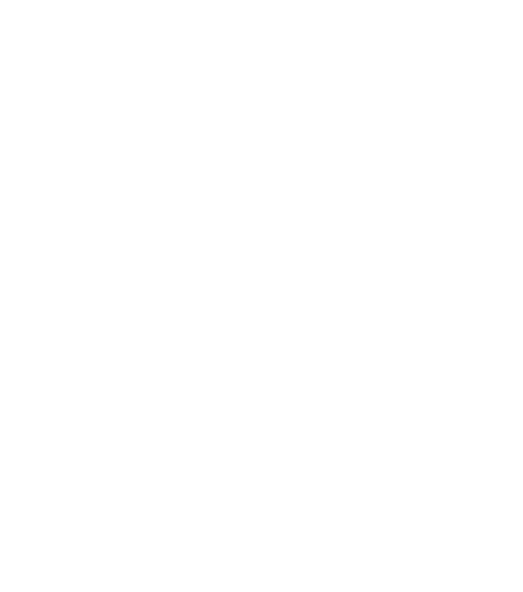 Institute of Computer Systems